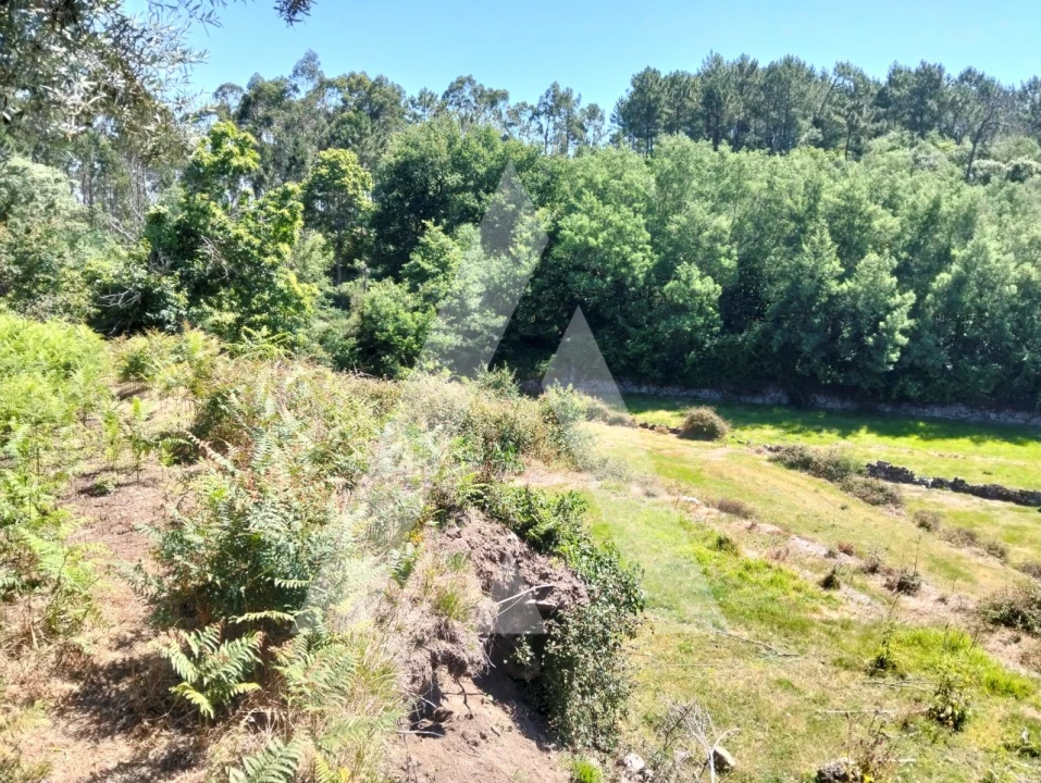 Terreno Agricola ou Rústico para Venda em Navió e Vitorino dos Piães Foto 23