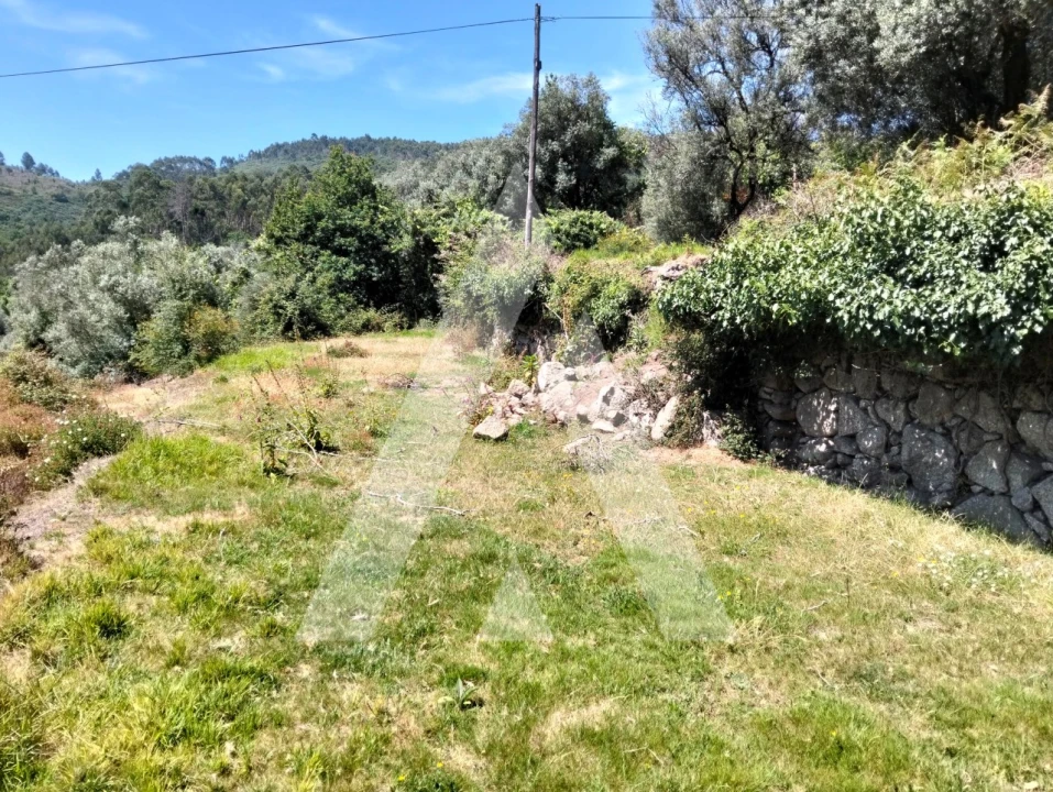 Terreno Agricola ou Rústico para Venda em Navió e Vitorino dos Piães Foto 25