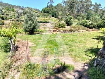 Terreno Agricola ou Rústico para Venda em Navió e Vitorino dos Piães