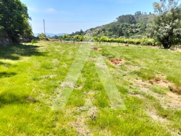 Terreno Agricola ou Rústico para Venda em Navió e Vitorino dos Piães