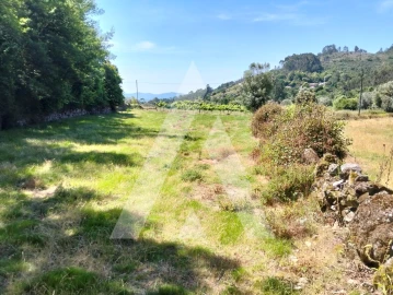 Terreno Agricola ou Rústico para Venda em Navió e Vitorino dos Piães