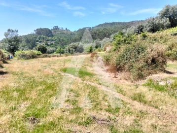 Terreno Agricola ou Rústico para Venda em Navió e Vitorino dos Piães