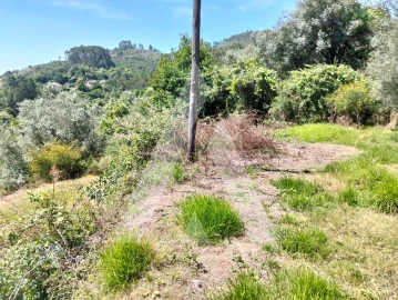 Terreno Agricola ou Rústico para Venda em Navió e Vitorino dos Piães