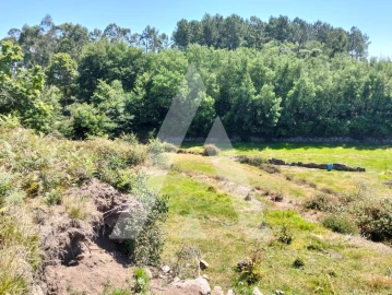 Terreno Agricola ou Rústico para Venda em Navió e Vitorino dos Piães