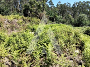 Terreno Agricola ou Rústico para Venda em Navió e Vitorino dos Piães