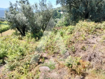 Terreno Agricola ou Rústico para Venda em Navió e Vitorino dos Piães