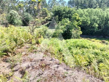 Terreno Agricola ou Rústico para Venda em Navió e Vitorino dos Piães