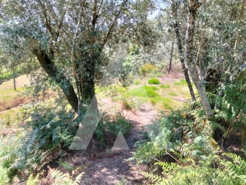 Terreno Agricola ou Rústico para Venda em Navió e Vitorino dos Piães