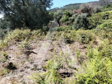Terreno Agricola ou Rústico para Venda em Navió e Vitorino dos Piães