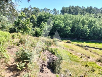 Terreno Agricola ou Rústico para Venda em Navió e Vitorino dos Piães