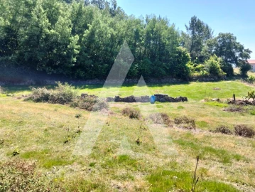 Terreno Agricola ou Rústico para Venda em Navió e Vitorino dos Piães