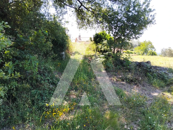 Terreno Agricola ou Rústico para Venda em Navió e Vitorino dos Piães Foto 4