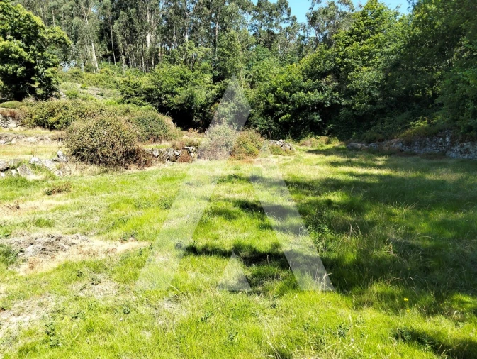 Terreno Agricola ou Rústico para Venda em Navió e Vitorino dos Piães Foto 5