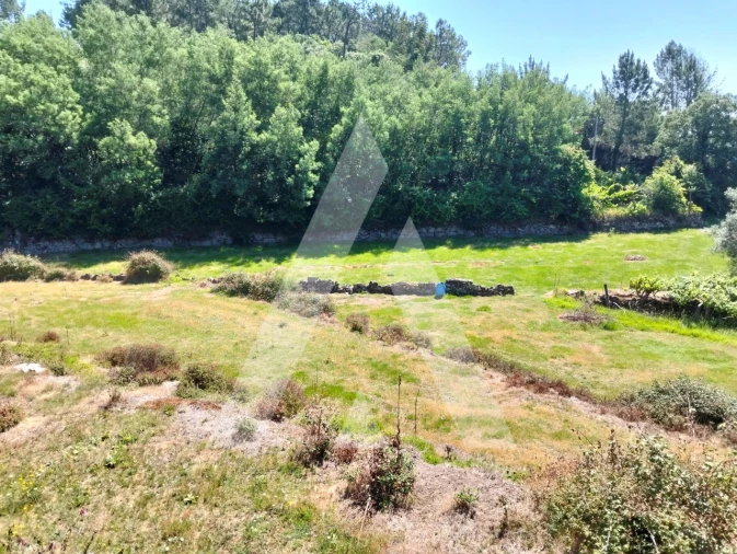 Terreno Agricola ou Rústico para Venda em Navió e Vitorino dos Piães Foto 11