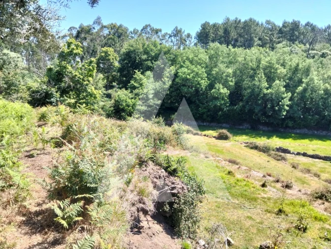 Terreno Agricola ou Rústico para Venda em Navió e Vitorino dos Piães Foto 23