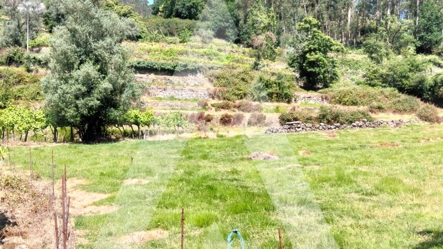 Terreno Agricola ou Rústico para Venda em Navió e Vitorino dos Piães