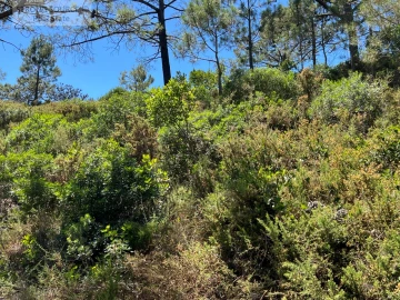 Moradia T7 para Venda em Sesimbra (Castelo)