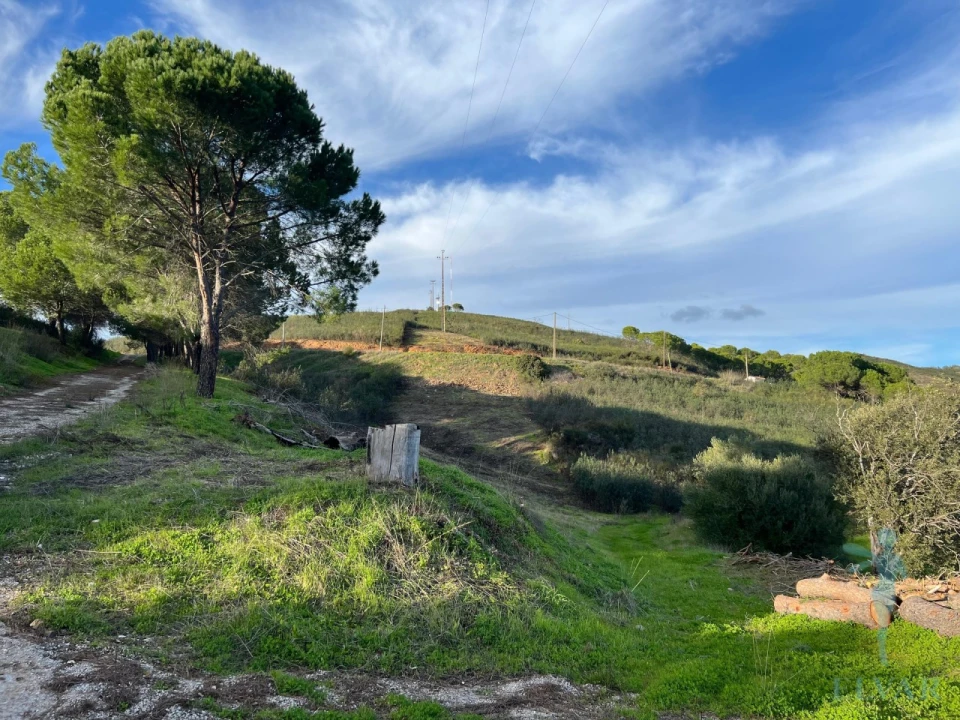 Moradia T3 para Venda em Alferce Foto 23