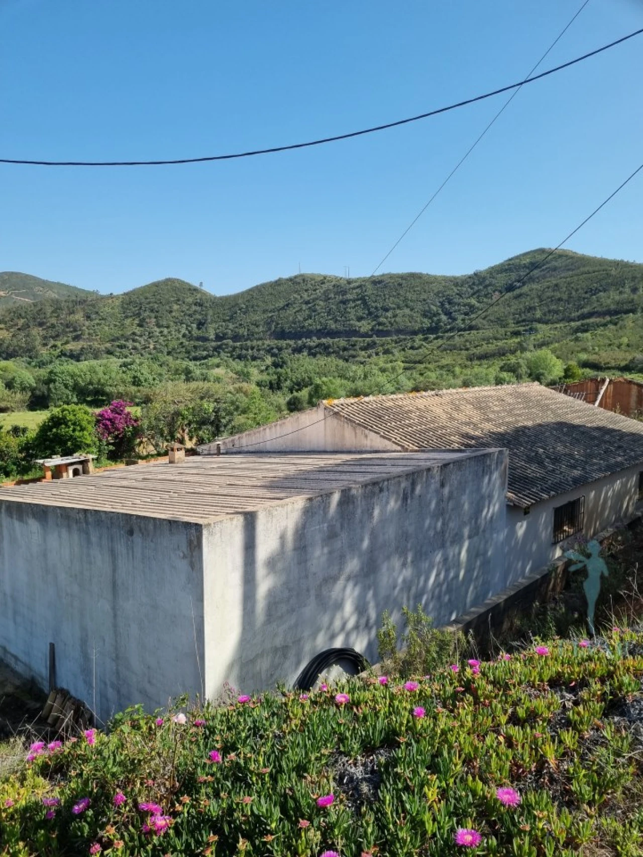 Quinta T3 para Venda em Alferce Foto 4