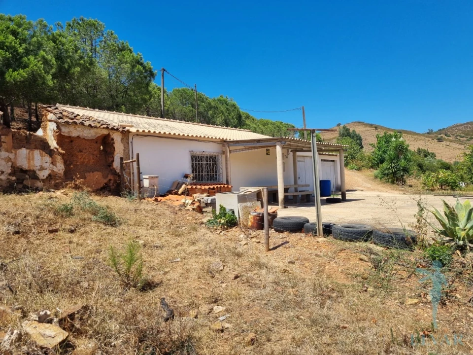 Quinta T3 para Venda em Alferce Foto 2