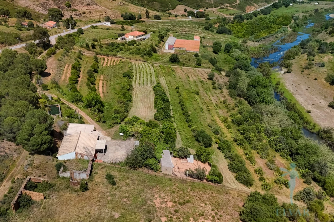Quinta T3 para Venda em Alferce Foto 10
