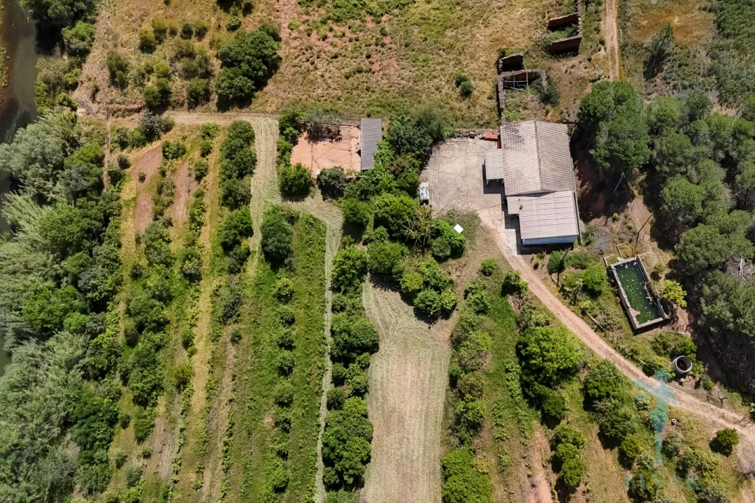 Quinta T3 para Venda em Alferce Foto 21
