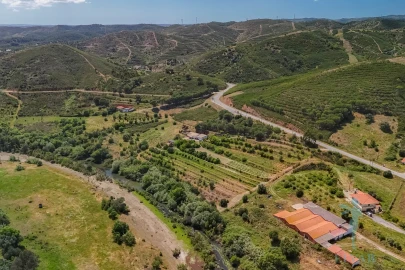Quinta T3 para Venda em Alferce