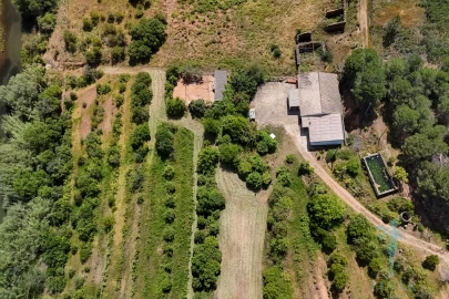 Quinta T3 para Venda em Alferce