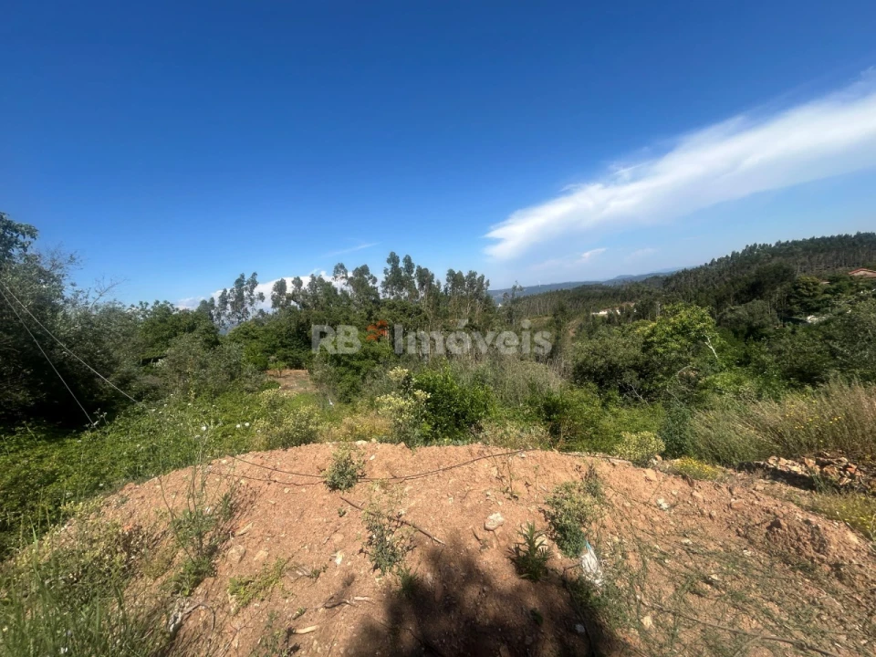 Moradia T3 para Venda em Alvaiázere Foto 29