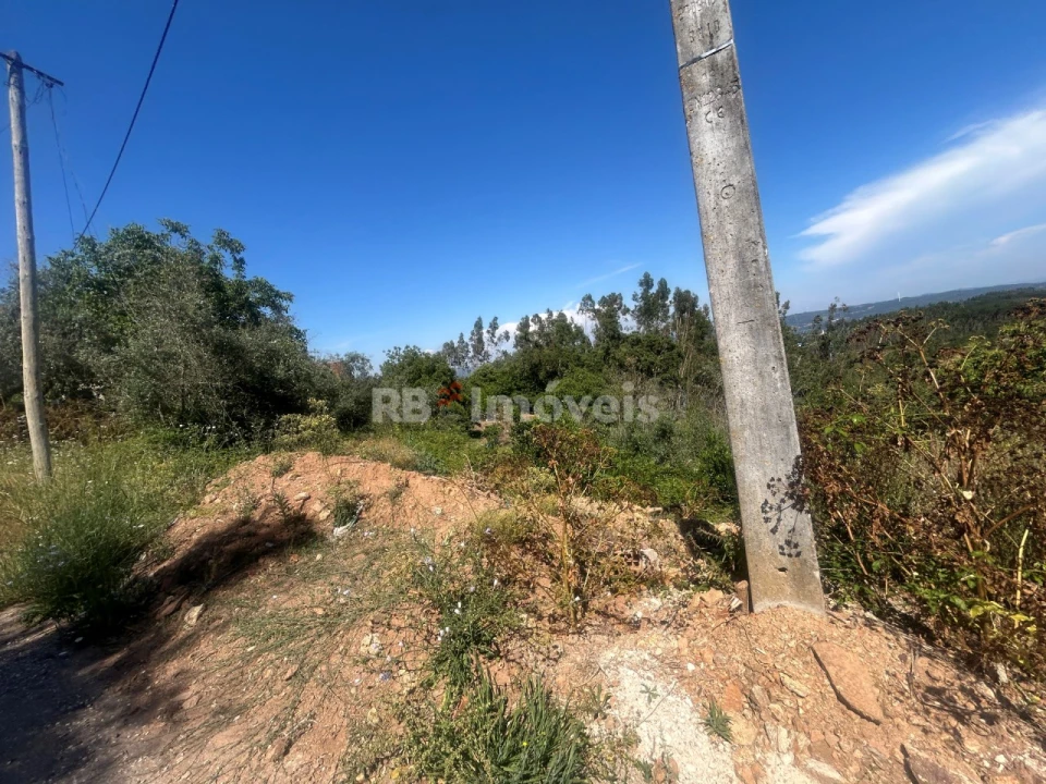Moradia T3 para Venda em Alvaiázere Foto 30