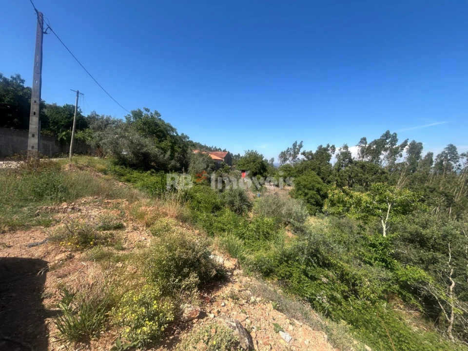 Moradia T3 para Venda em Alvaiázere Foto 32