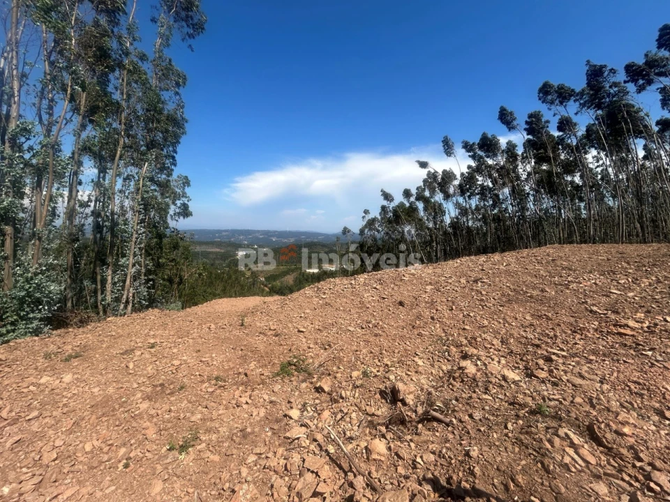 Moradia T3 para Venda em Alvaiázere Foto 38