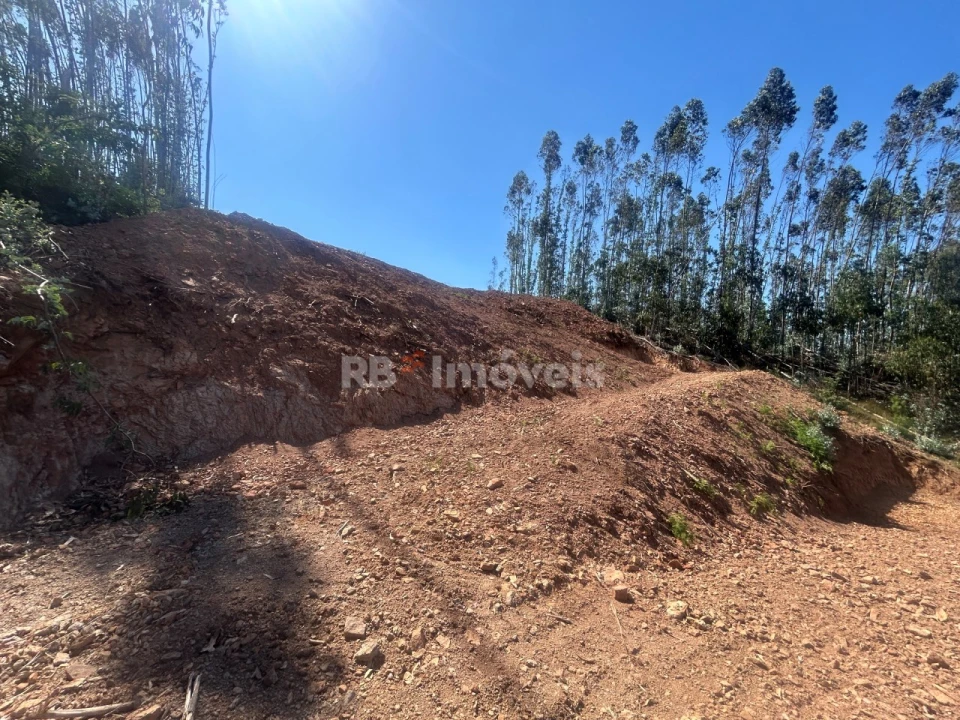 Moradia T3 para Venda em Alvaiázere Foto 39