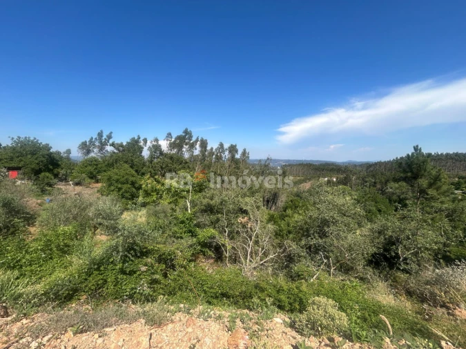Moradia T3 para Venda em Alvaiázere Foto 33
