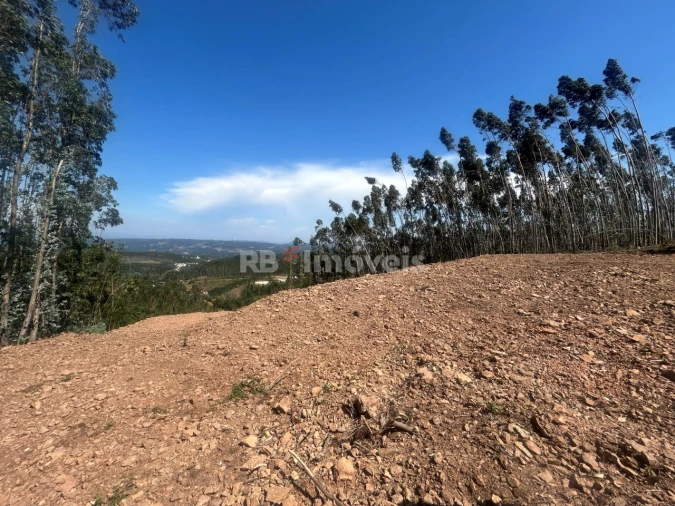 Moradia T3 para Venda em Alvaiázere Foto 37