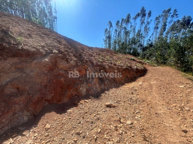 Moradia T3 para Venda em Alvaiázere Foto 41