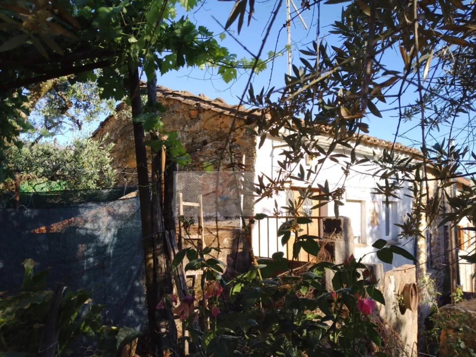 Moradia T2 para Venda em Souto da Casa Foto 2