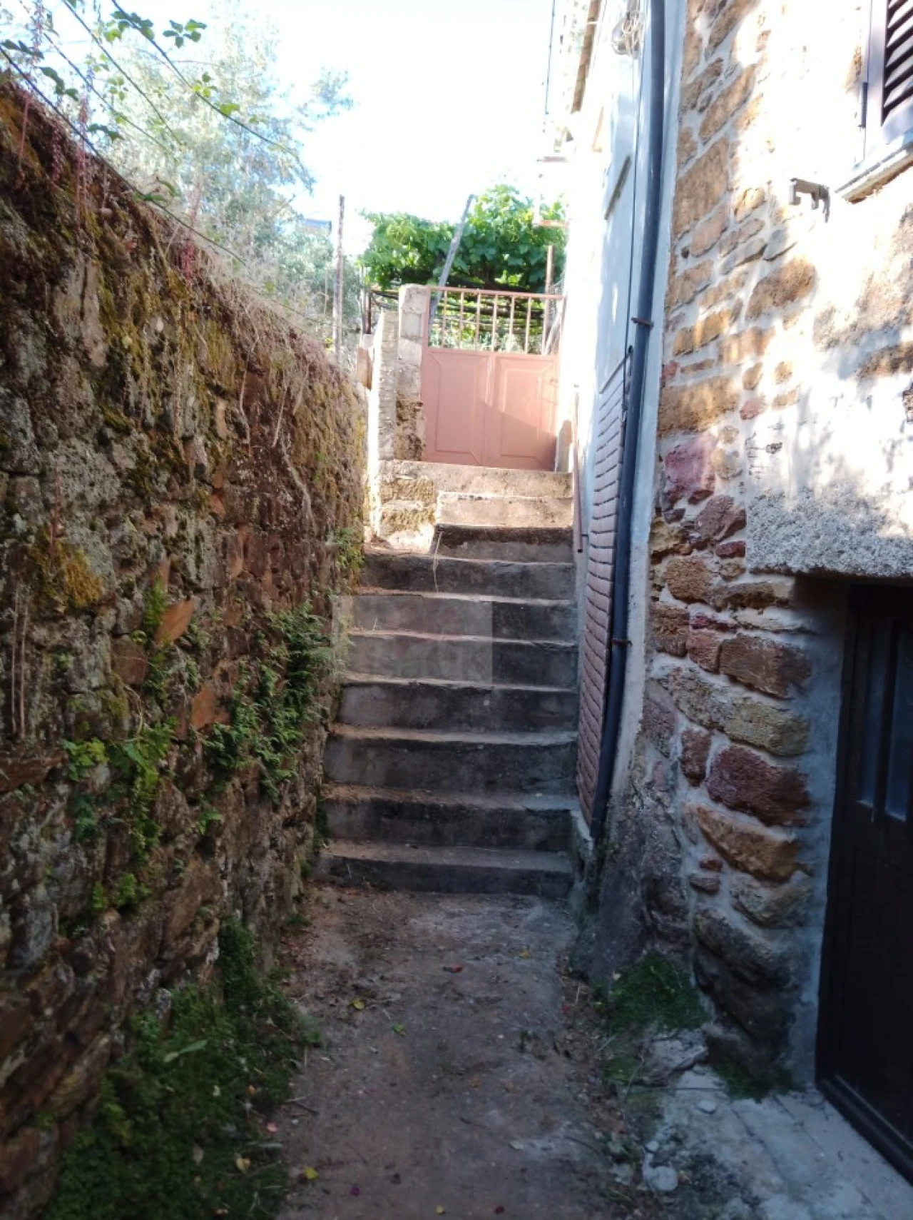 Moradia T2 para Venda em Souto da Casa Foto 3