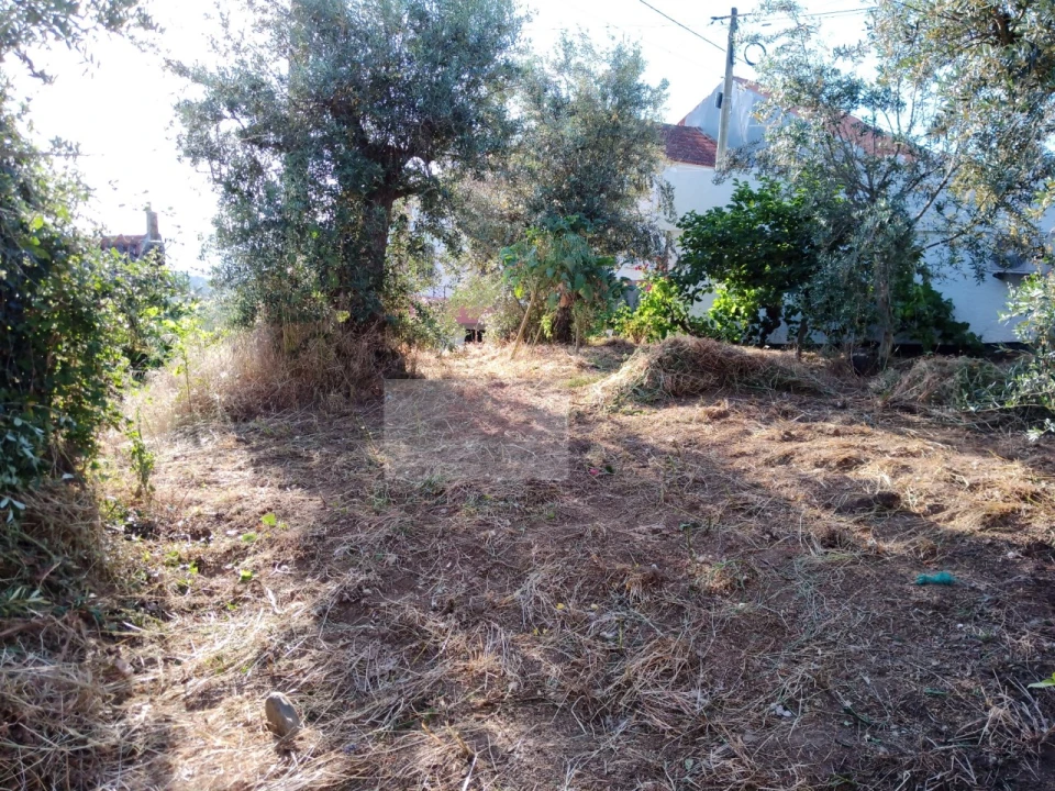 Moradia T2 para Venda em Souto da Casa Foto 9