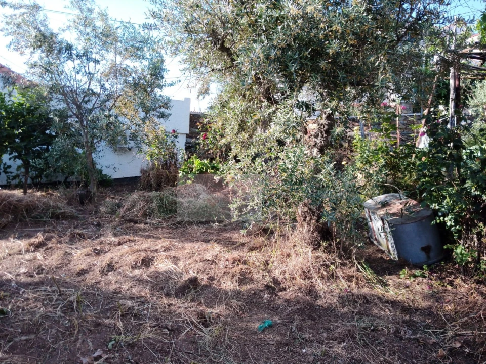 Moradia T2 para Venda em Souto da Casa Foto 10