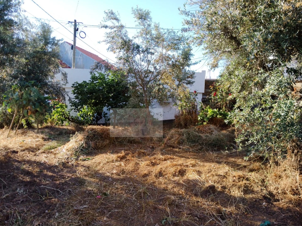 Moradia T2 para Venda em Souto da Casa Foto 11