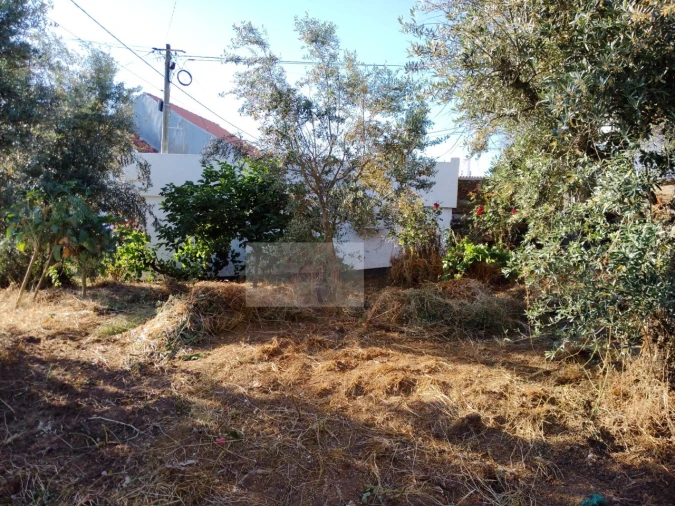 Moradia T2 para Venda em Souto da Casa Foto 11