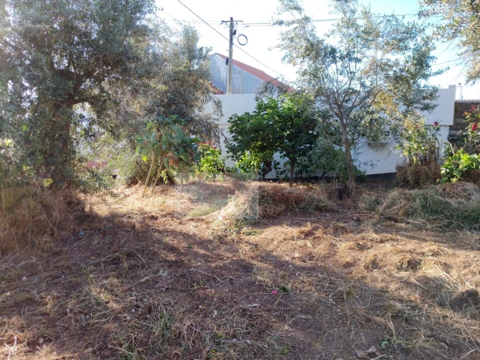 Moradia T2 para Venda em Souto da Casa Foto 12