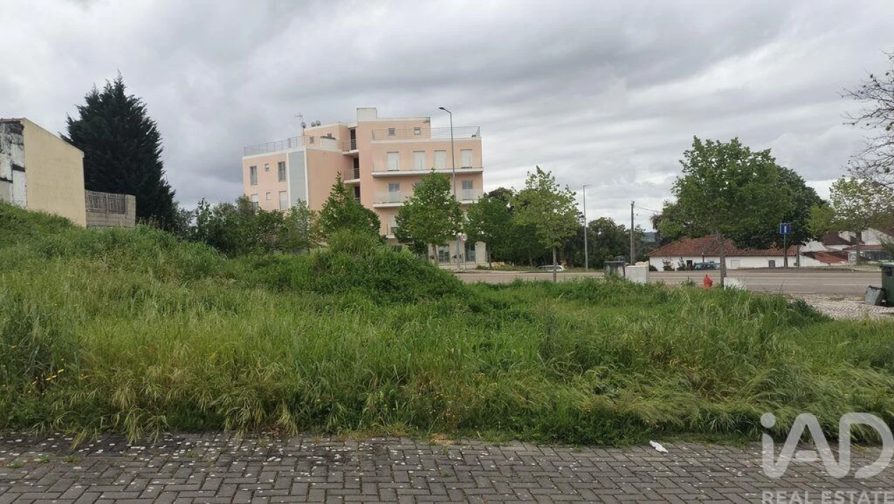 Terreno para Venda em Romeira e Várzea Foto 10