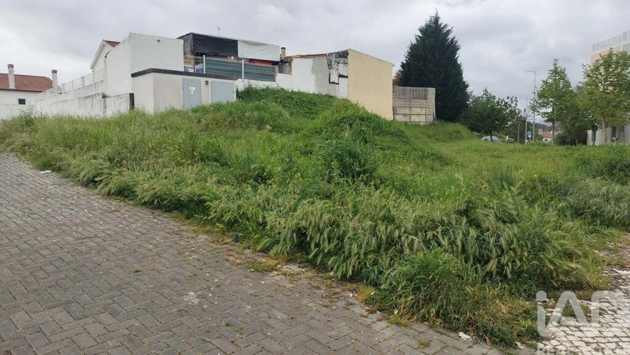 Terreno para Venda em Romeira e Várzea Foto 6