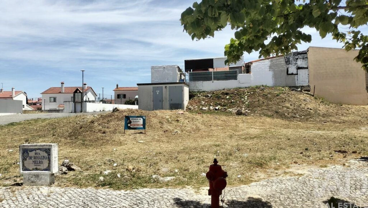 Terreno para Venda em Romeira e Várzea Foto 3