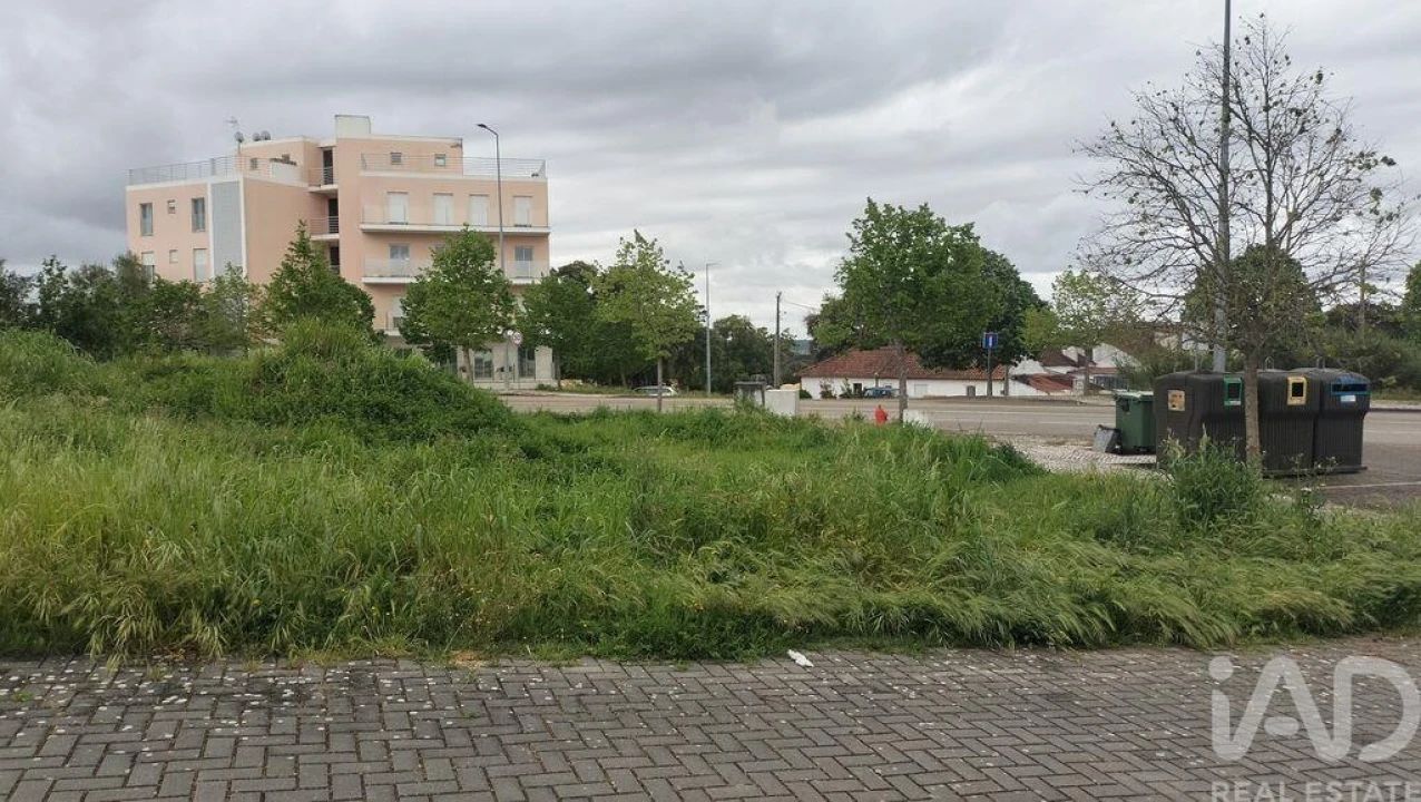 Terreno para Venda em Romeira e Várzea Foto 14