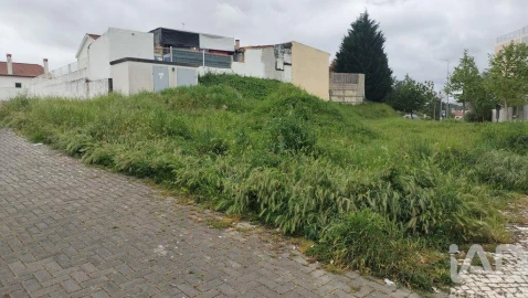 Terreno para Venda em Romeira e Várzea