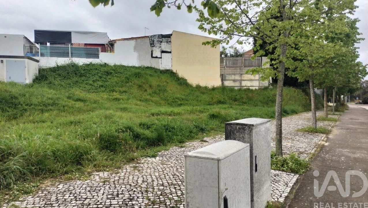 Terreno para Venda em Romeira e Várzea Foto 15