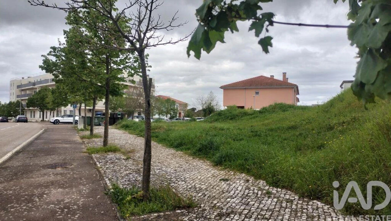 Terreno para Venda em Romeira e Várzea Foto 5